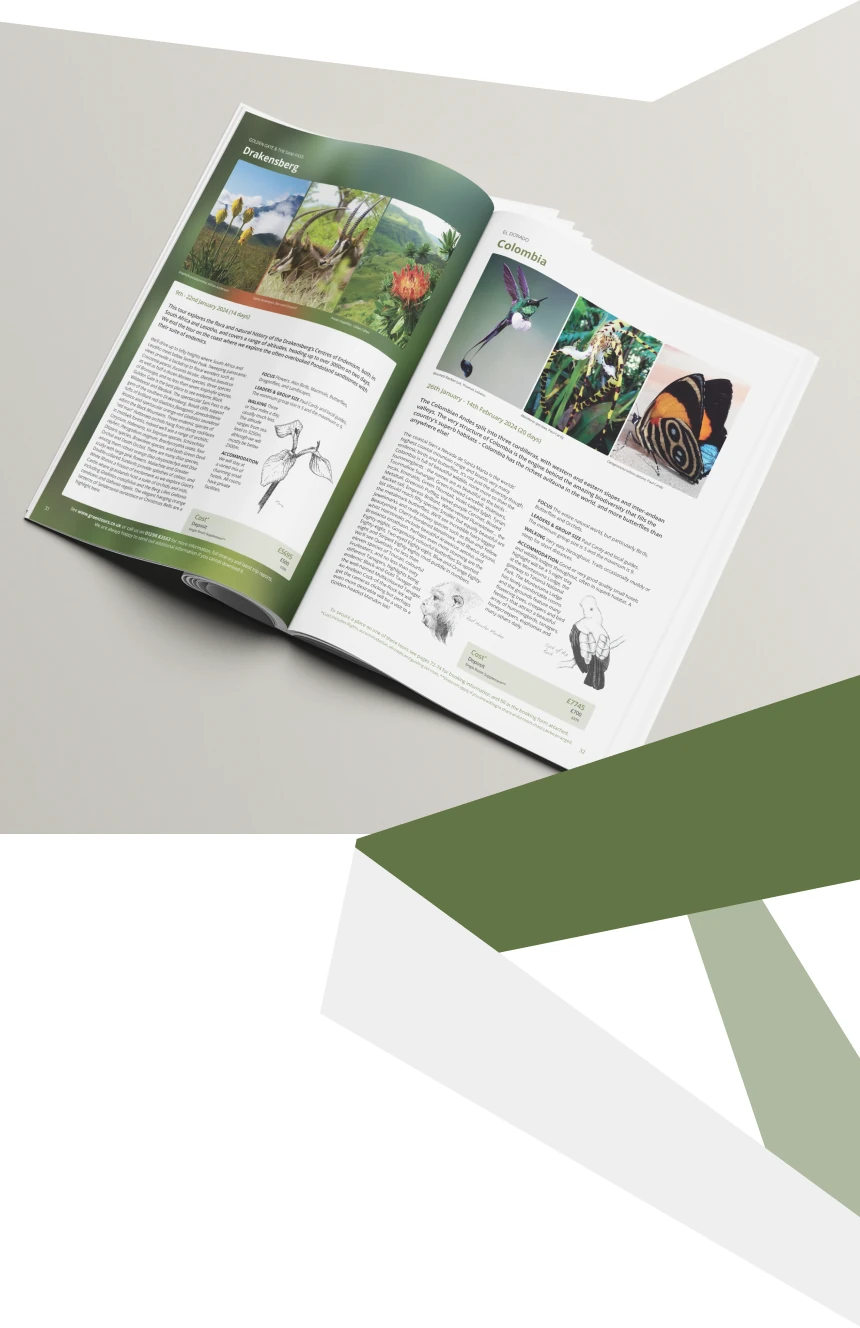 Greentours Brochure Illustration