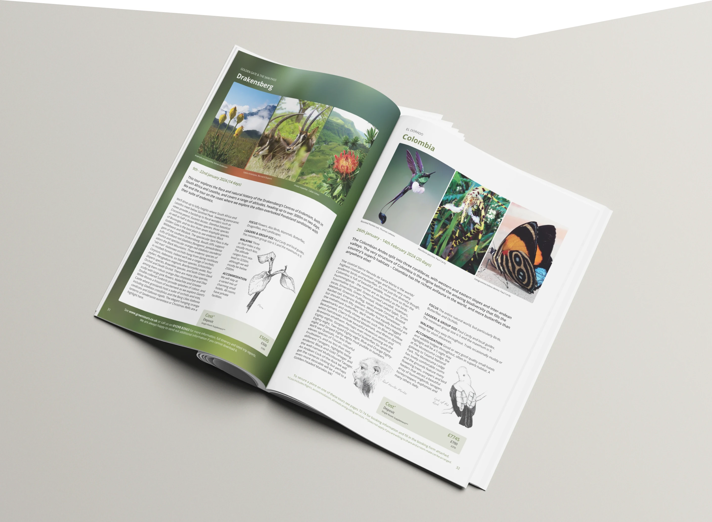 Greentours Brochure Illustration