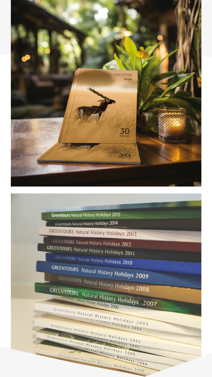 Further illustrations of Greentours holiday brochures