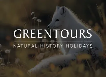 Screenshot of Greentours project