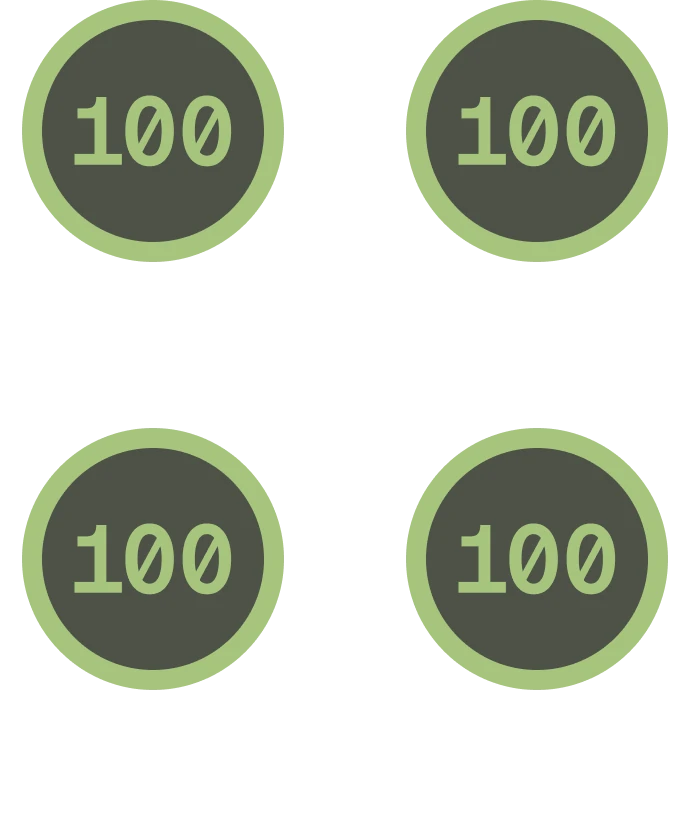 Wiser IT&rsquo;s 100% Google PageSpeed score