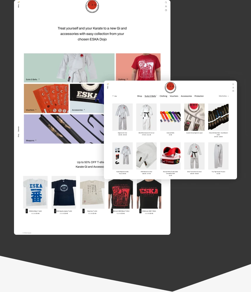 Further screenshots of Eska Website design