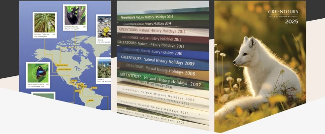 Further screenshots of Greentours holiday brochure design.