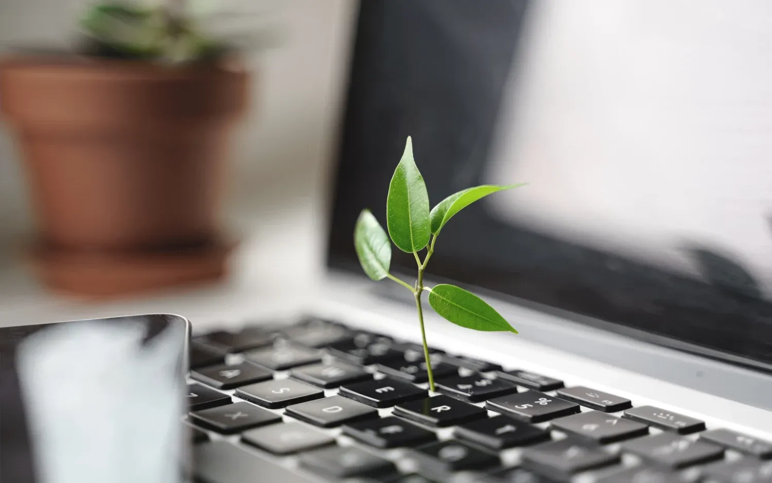 A Sustainable Web is Worth Talking About