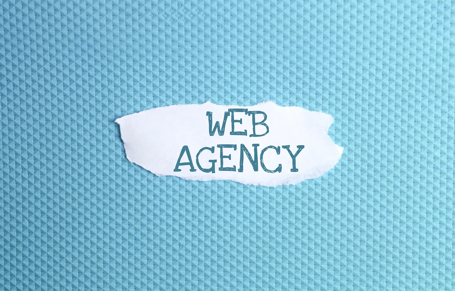 Choosing the Right Web Development Agency for Your Business